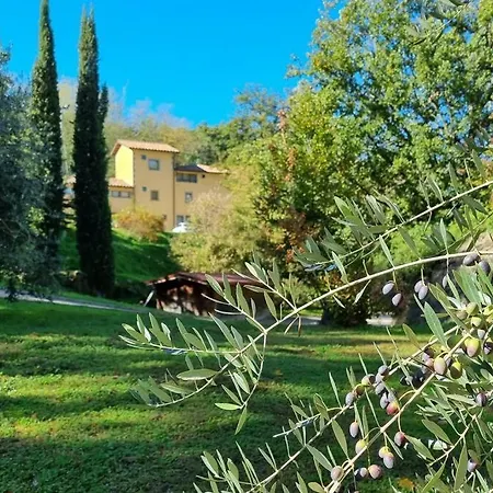 公寓 41 Your Mountain Oasis Pool Access, Free Wi-fi & Parking